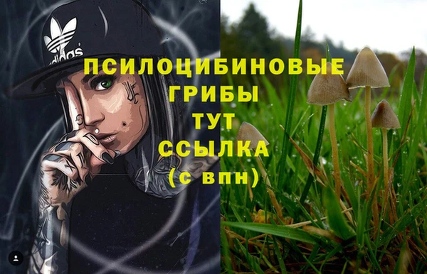 каннабис Сатка