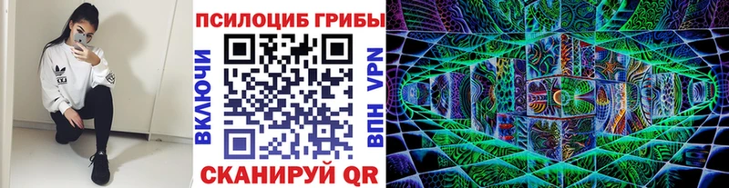 Псилоцибиновые грибы GOLDEN TEACHER  Купить где  Котлас