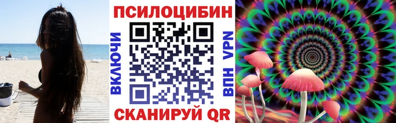 Галлюциногенные грибы GOLDEN TEACHER Котлас