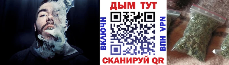 Купить закладки  Котлас  Бошки Шишки Amnesia 